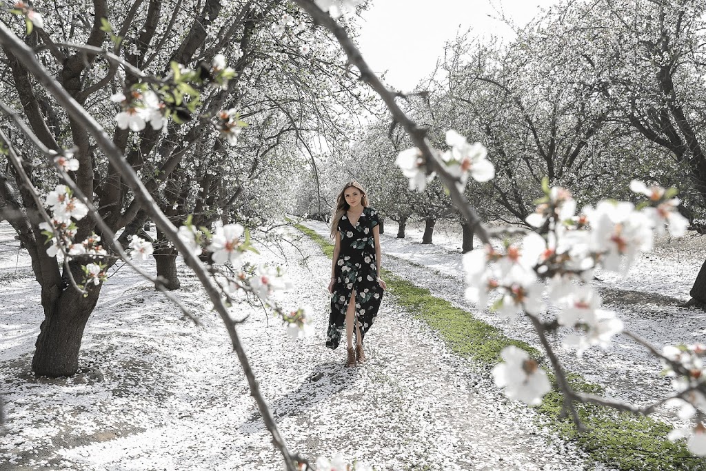 California Almond Orchards – ♡ Postcards From Tina