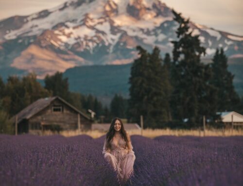 Prettiest Lavender Field in Oregon