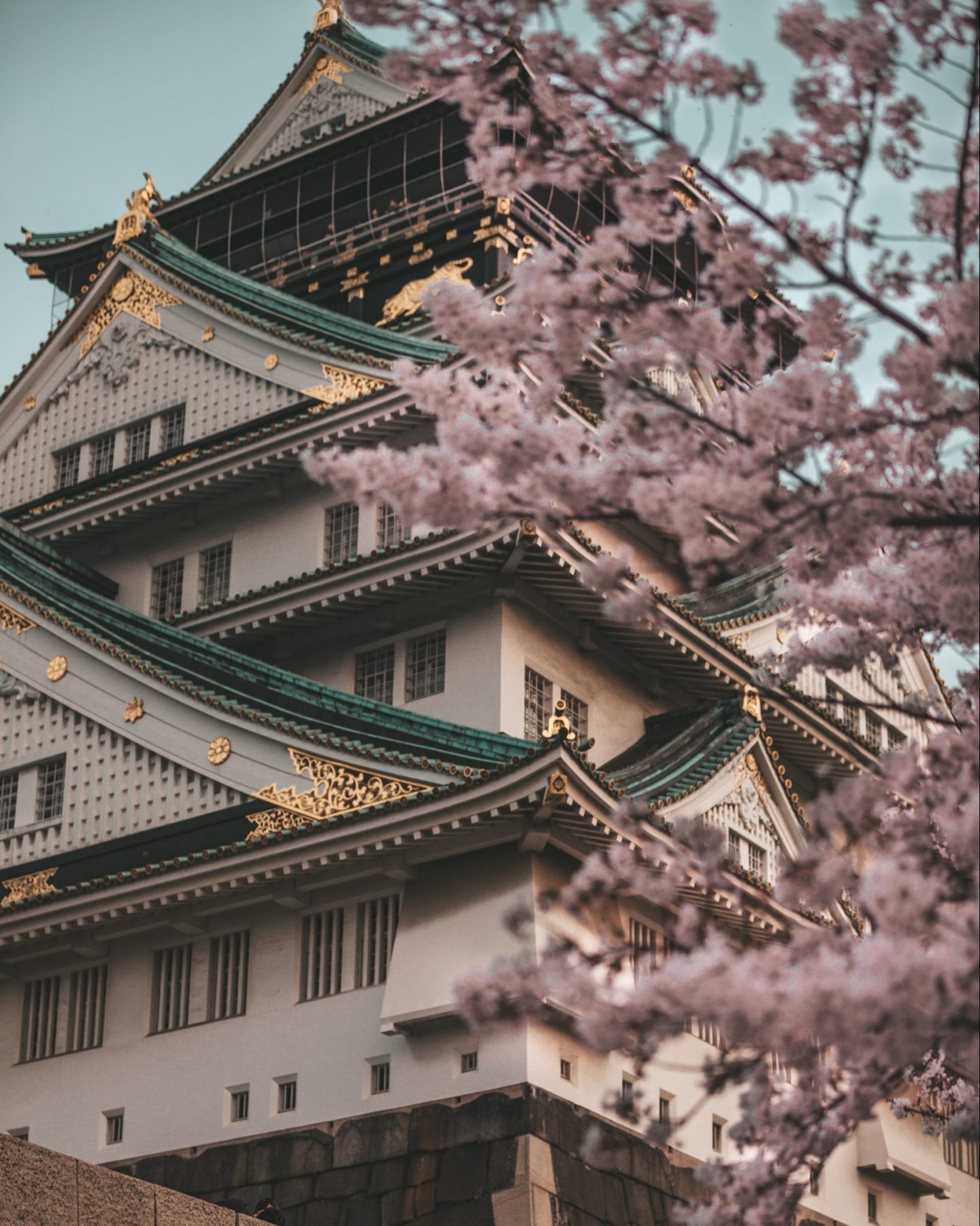 osaka castle during cherry blossom season