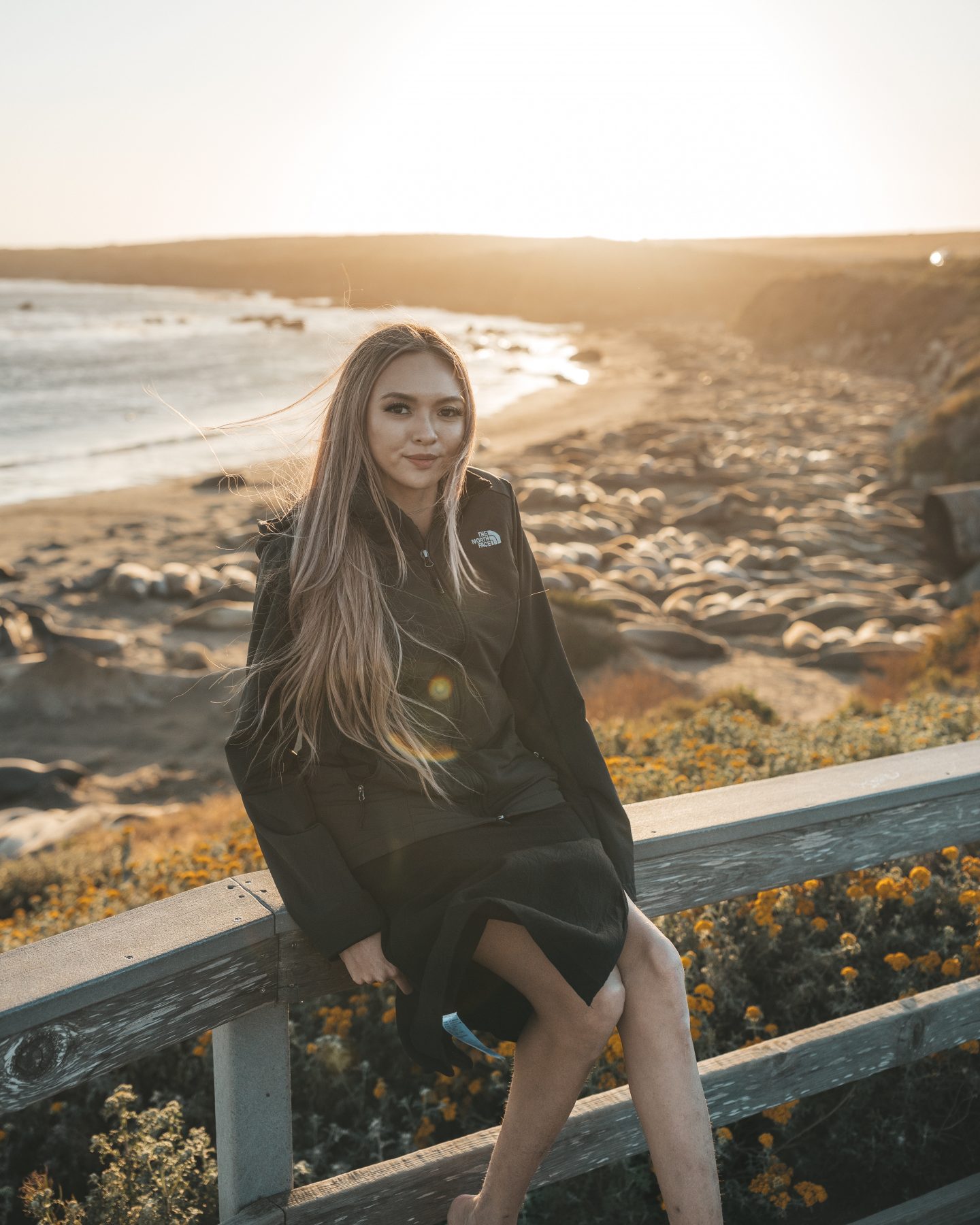 vista point seal