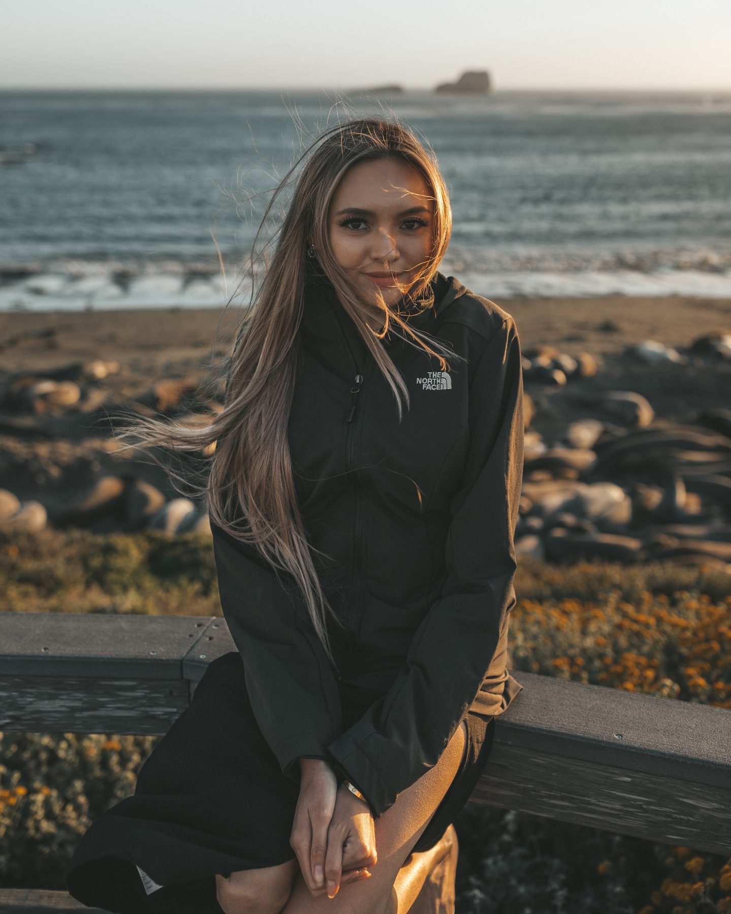 elephant seal vista point