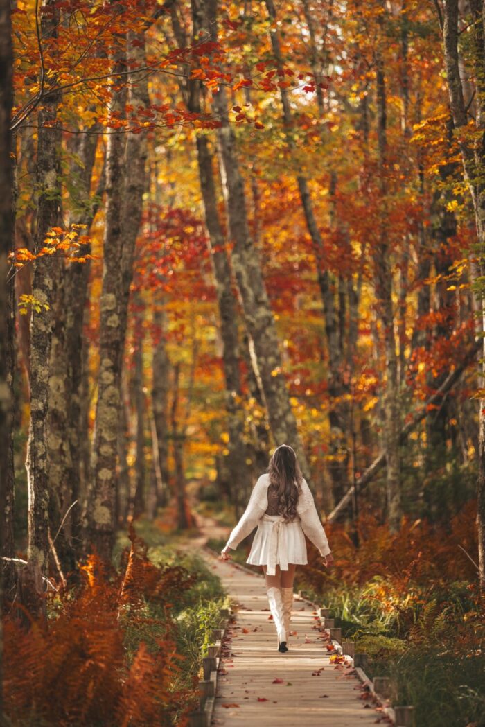 Ultimate Fall Foliage Bucketlist New England Guide - Image 8